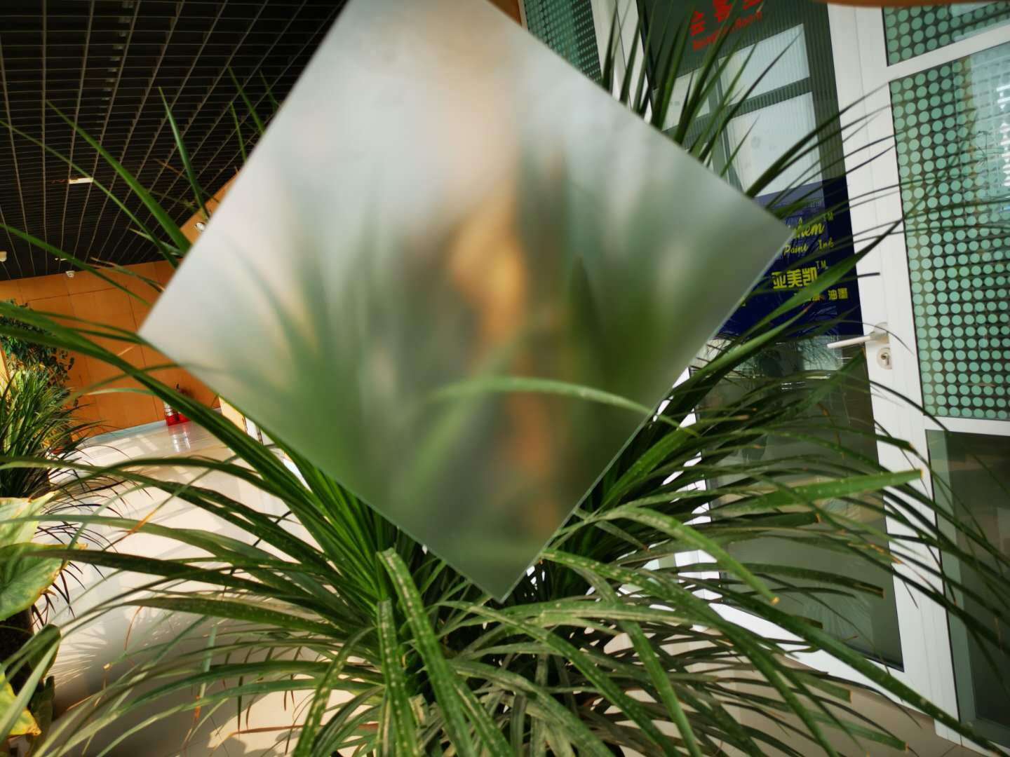 肌肤砂财神网页登录